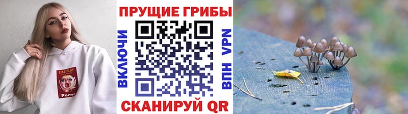 Галлюциногенные грибы ЛСД  наркота  Нелидово 